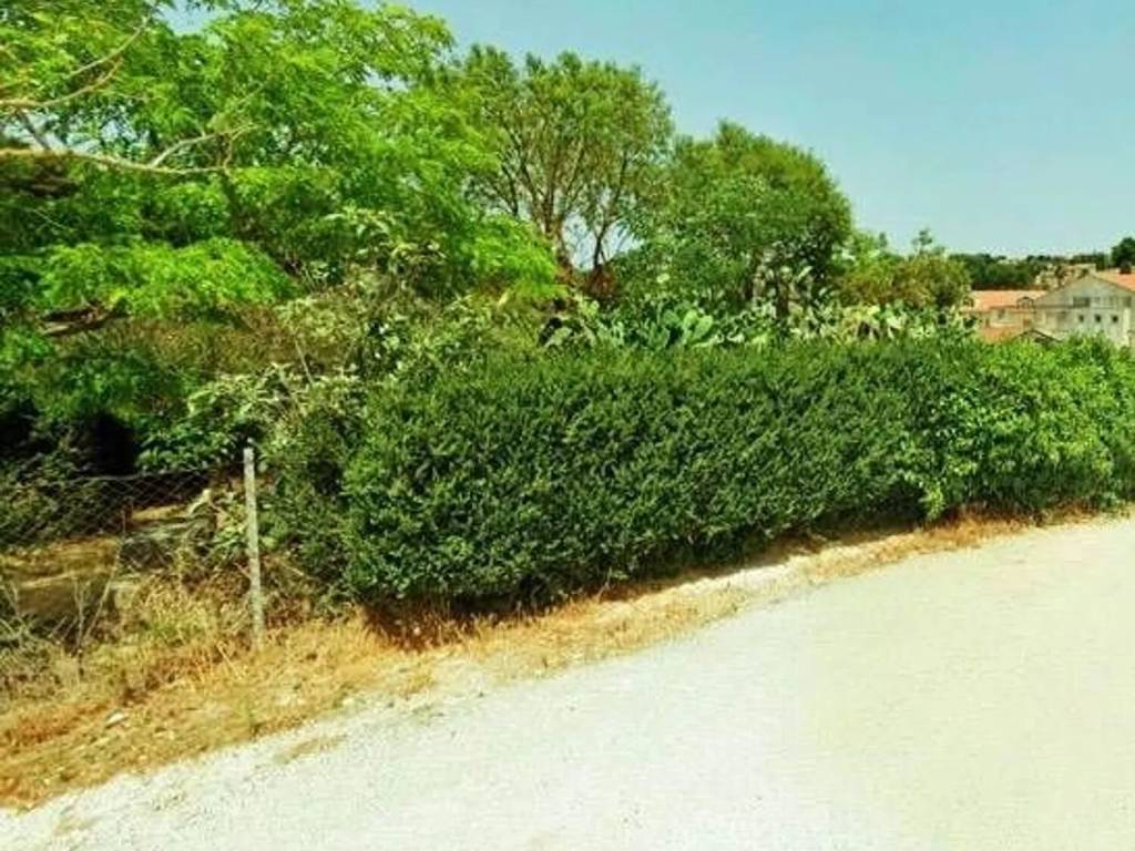 Terreno a Salemi - Foto 5