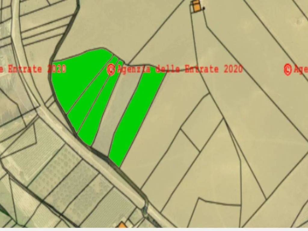 Terreno a Salemi - Foto 2