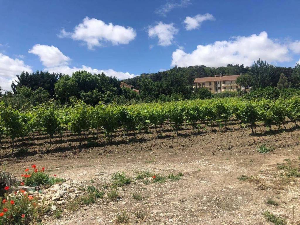 Terreno a Salemi in Contrada Vado No Number - Foto 3
