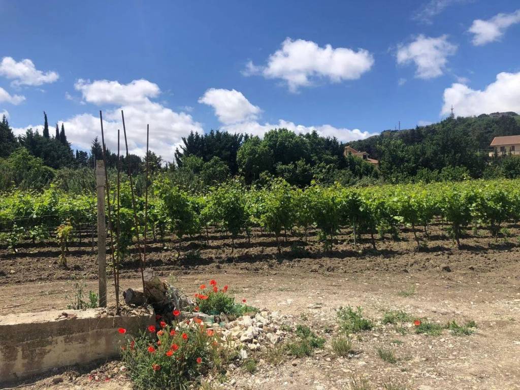 Terreno a Salemi in Contrada Vado No Number - Foto 4