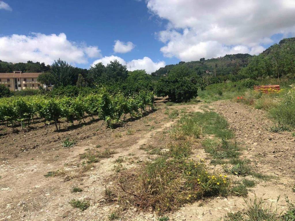 Terreno a Salemi in Contrada Vado No Number - Foto 5