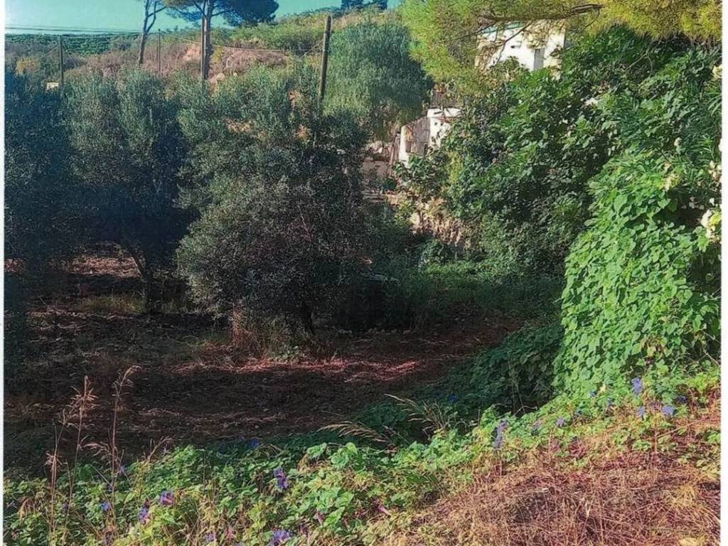 Immobile a Vita - Foto 3