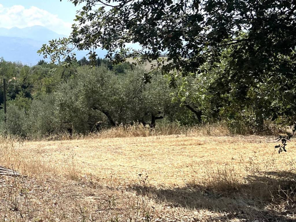 Terreno a Cepagatti in Via Castelluccio - Foto 2