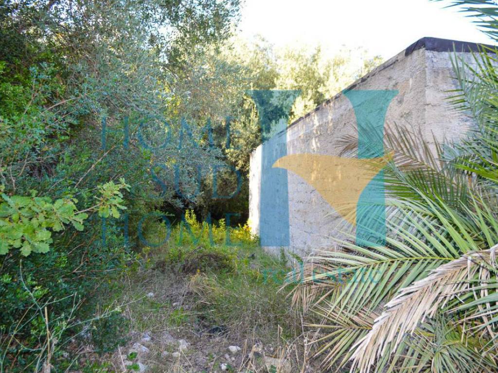 Rustico / casale a Noto - Foto 4