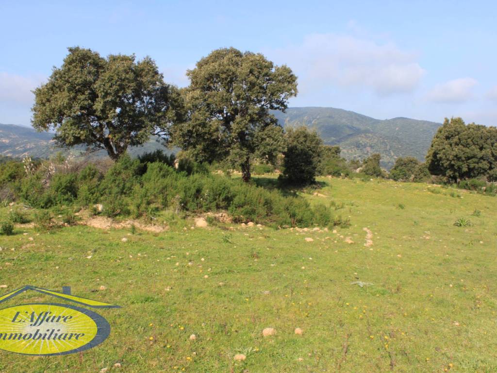 Terreno a Loiri porto san paolo in FRAZIONE OVILO' - LOIRI - Foto 2