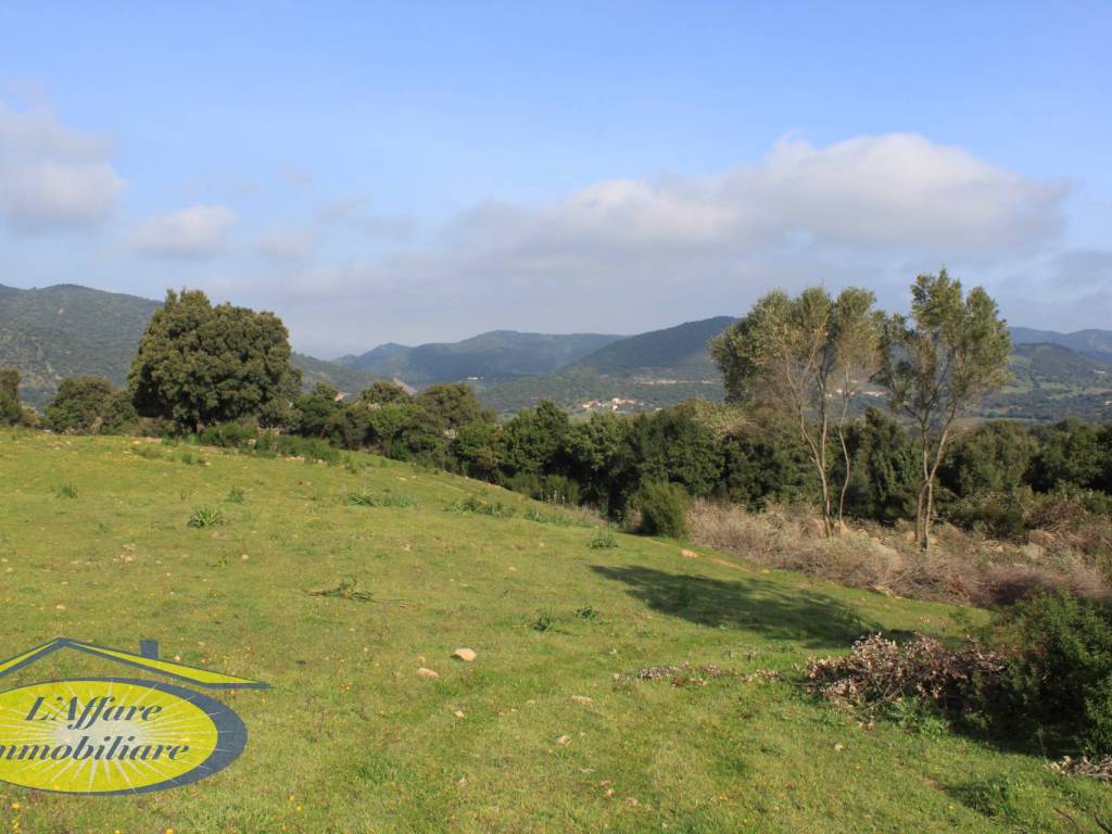 Terreno a Loiri porto san paolo in FRAZIONE OVILO' - LOIRI - Foto 3