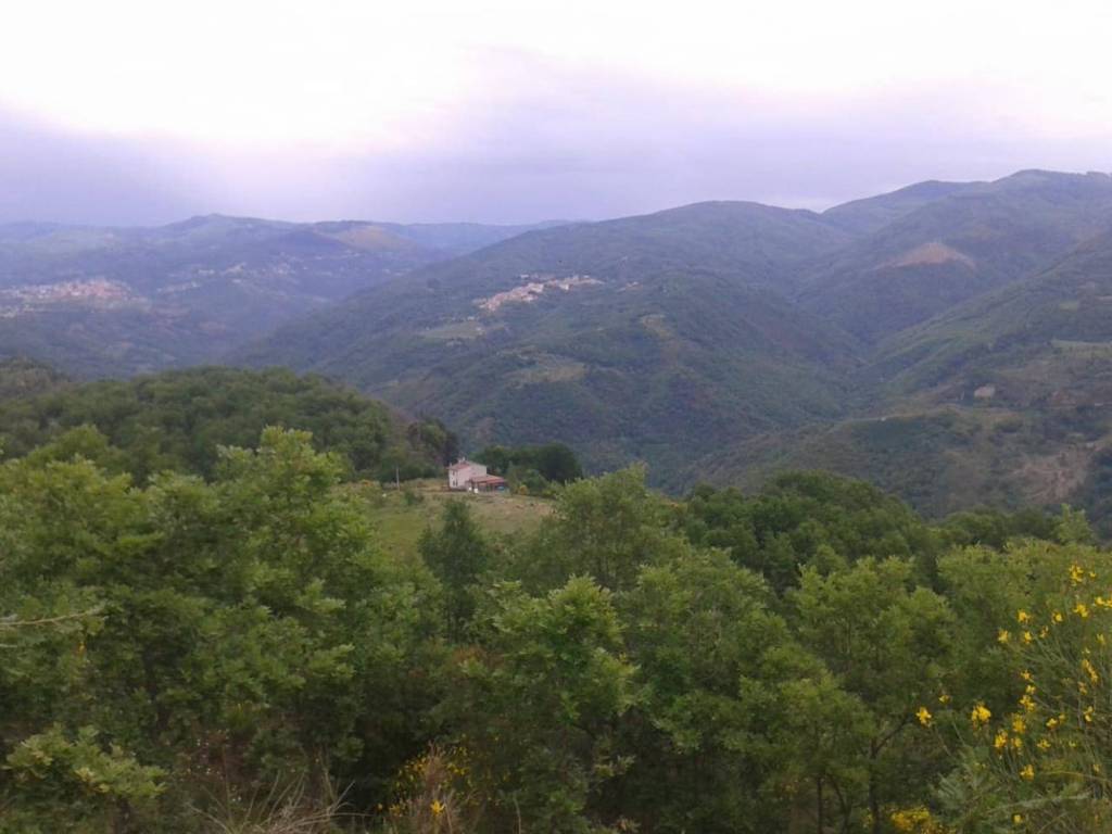 Rustico / casale a Altilia in loc. Balzatelle - Foto 3