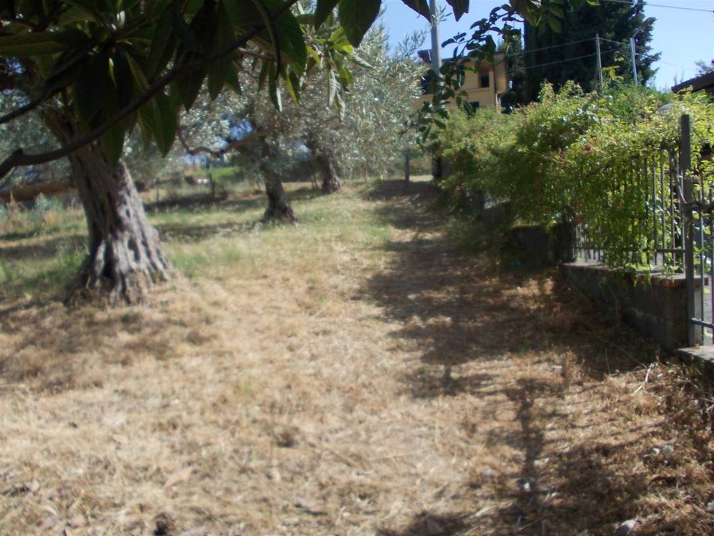 Terreno a Cosenza in Contrada Tenimento - Foto 2