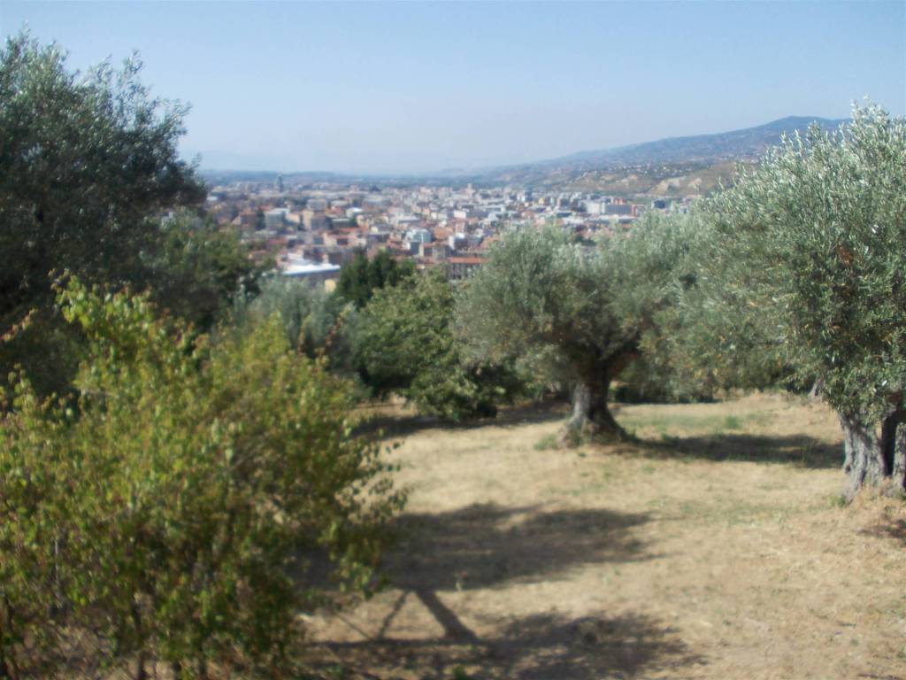 Terreno a Cosenza in Contrada Tenimento - Foto 4
