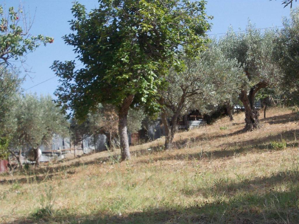 Terreno a Cosenza in Contrada Tenimento - Foto 5