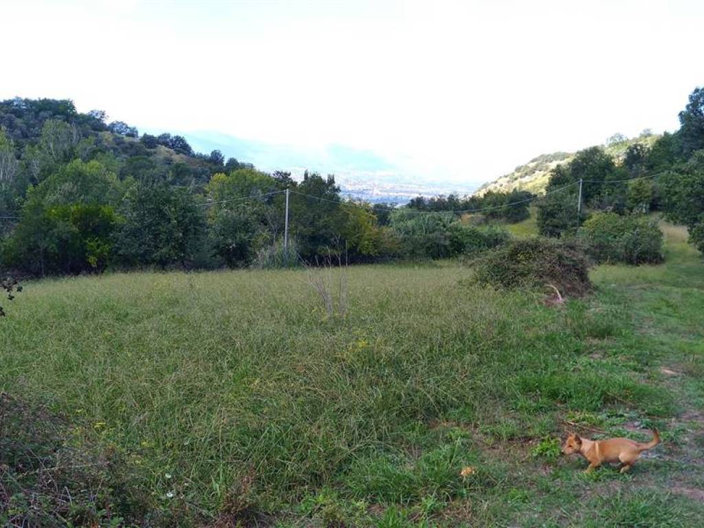 Terreno a Lappano - Foto 2