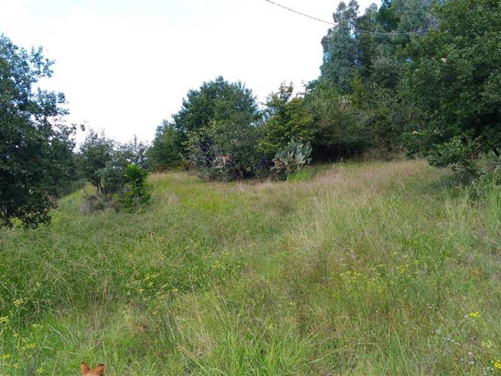 Terreno a Lappano - Foto 3