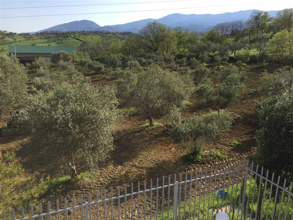 Terreno a Lattarico - Foto 4
