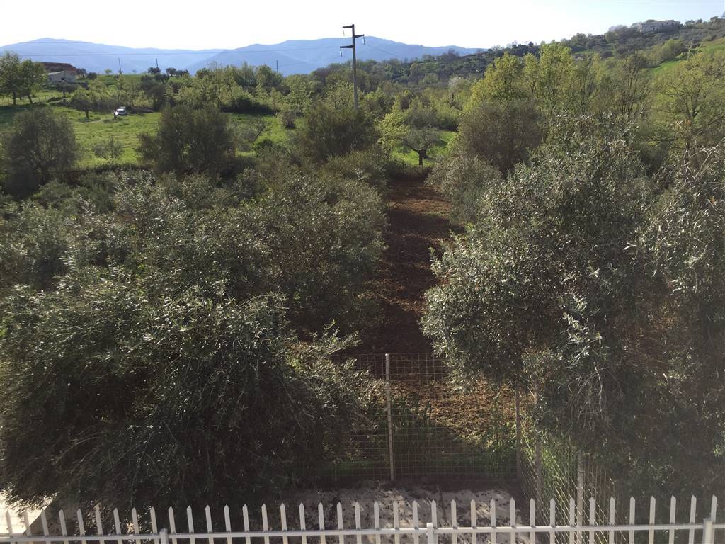 Terreno a Lattarico - Foto 5
