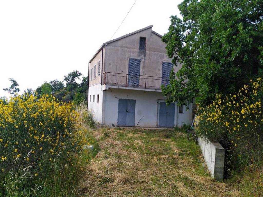 Terreno a Luzzi - Foto 4