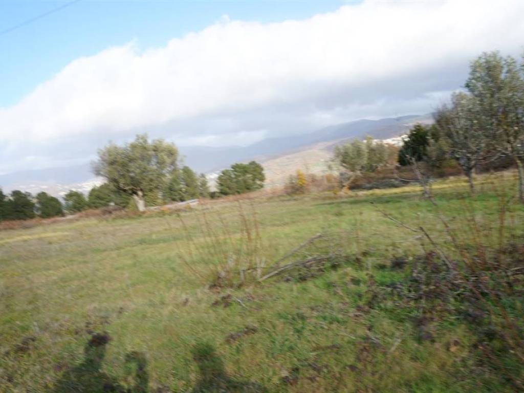 Terreno a Piane crati - Foto 2