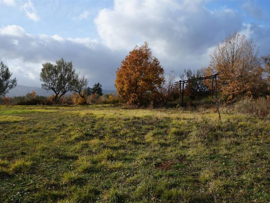 Terreno a Piane crati - Foto 5