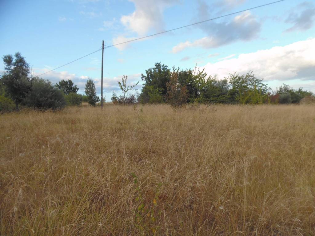 Terreno a Civitella del tronto in Collevirtù - Foto 4