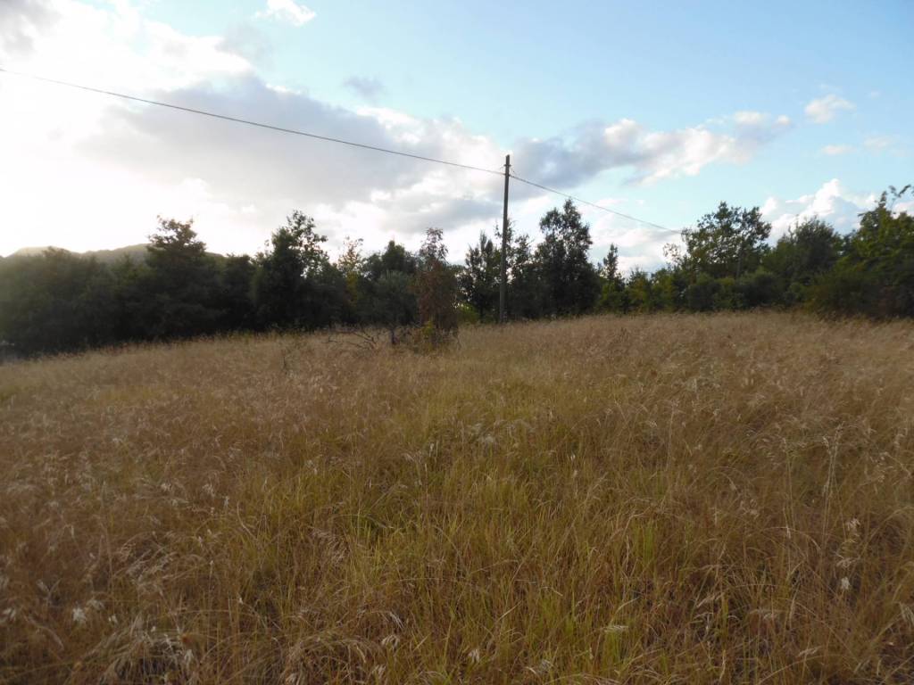 Terreno a Civitella del tronto in Collevirtù - Foto 5