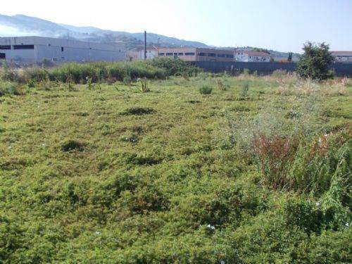 Terreno a Rende - Foto 3