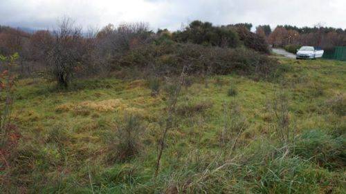 Terreno a Dipignano - Foto 3
