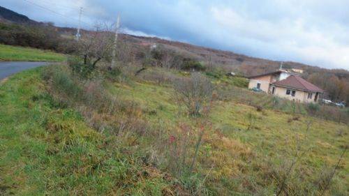 Terreno a Dipignano - Foto 4