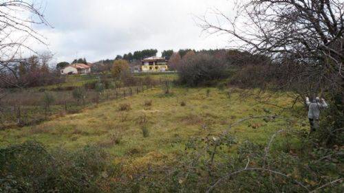 Terreno a Dipignano - Foto 5