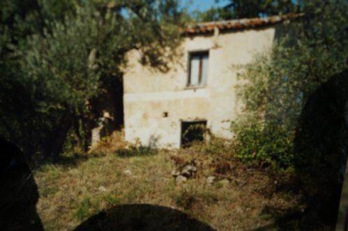 Terreno a Dipignano - Foto 5