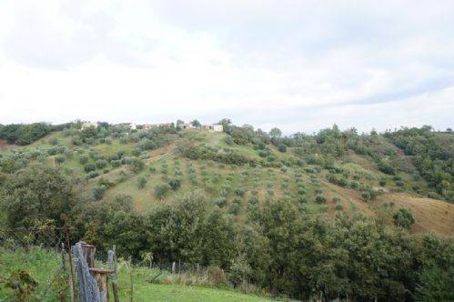 Terreno a Mongrassano in Valle della pietra - Foto 5