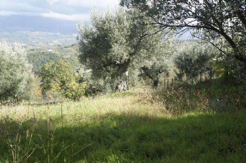 Terreno a Dipignano - Foto 3