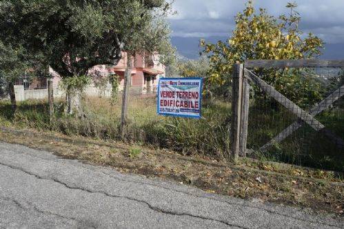Terreno a Dipignano - Foto 4
