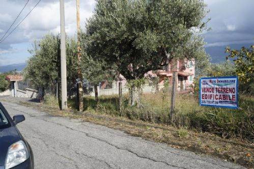 Terreno a Dipignano - Foto 5