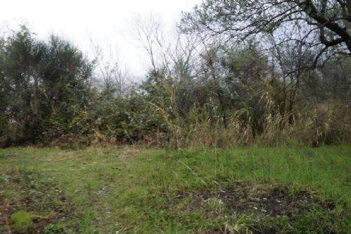 Terreno a Cosenza - Foto 5