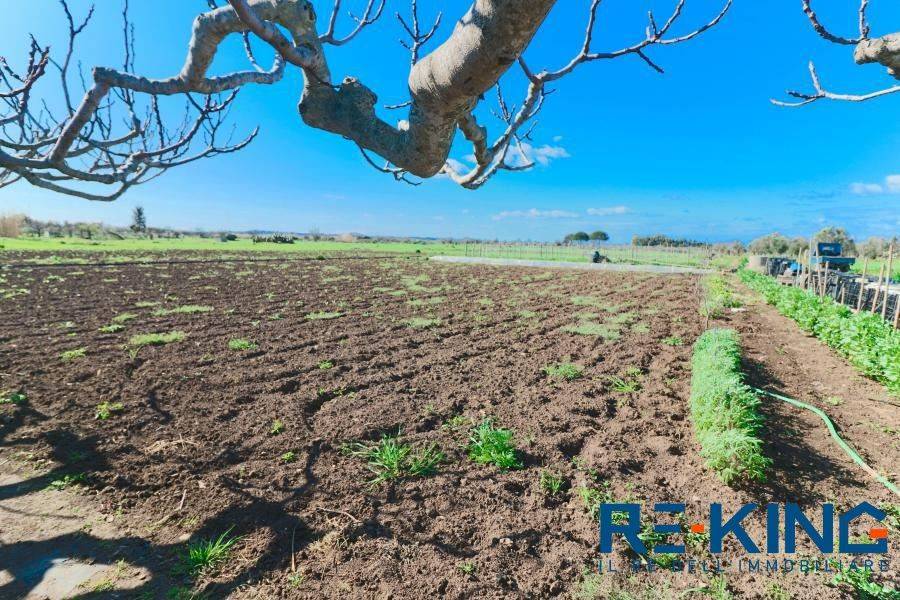 Terreno a Matino - Foto 4