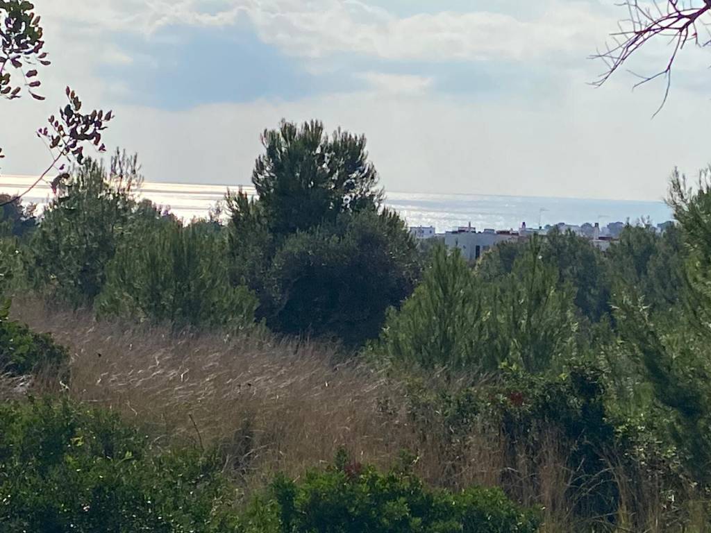 Rustico / casale a Castrignano del capo in Strada Vicinale San Giuseppe Marina di Leuca - Foto 2