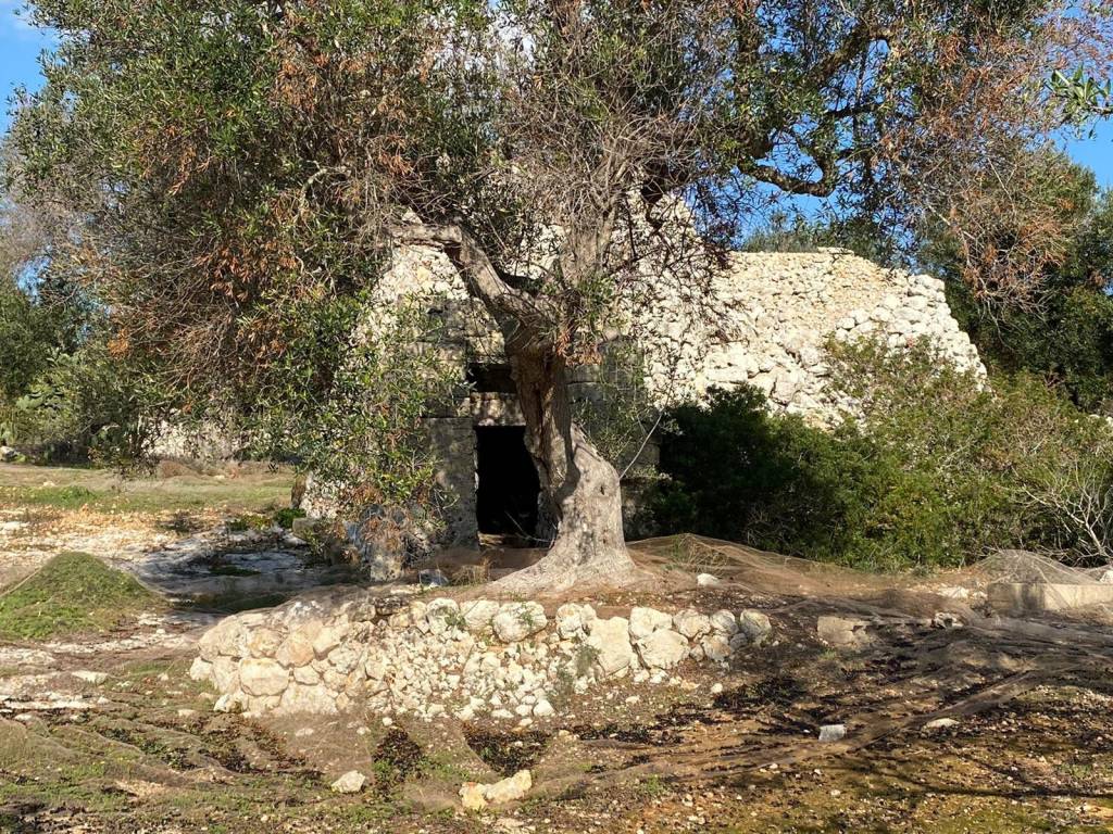 Rustico / casale a Castrignano del capo in Strada Vicinale San Giuseppe Marina di Leuca - Foto 3