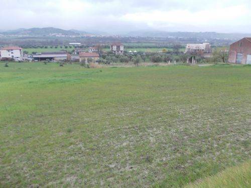 Terreno a Luzzi - Foto 2
