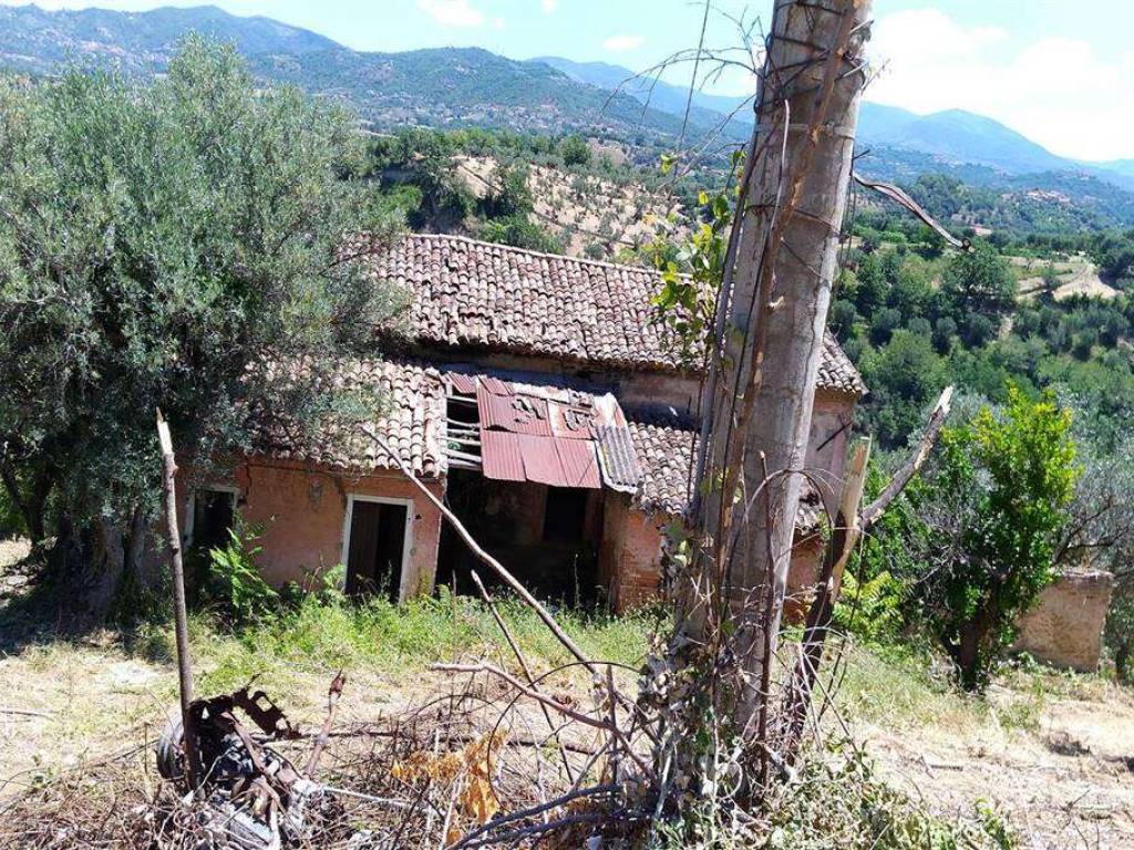 Terreno a Zumpano - Foto 3