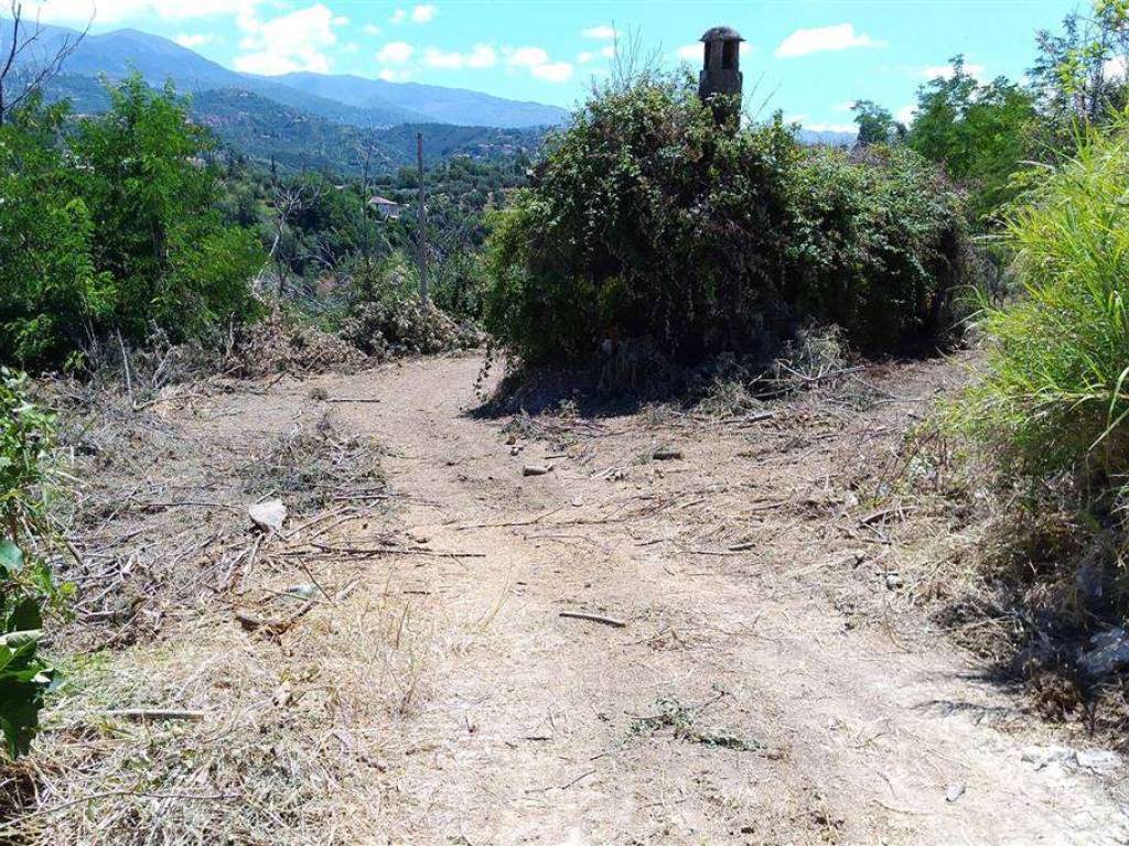 Terreno a Zumpano - Foto 5