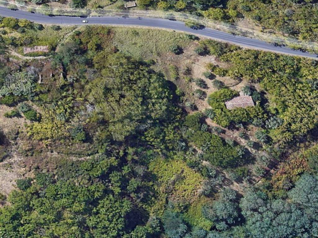 Terreno a Zumpano - Foto 3
