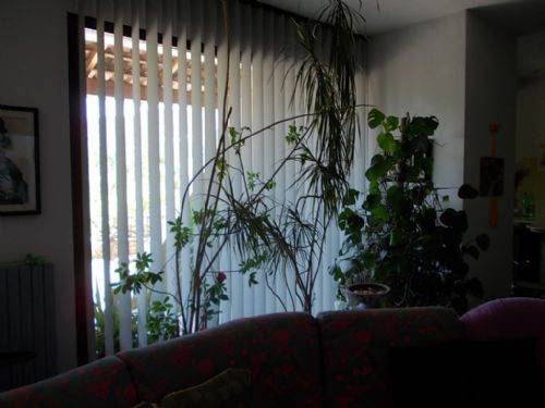 Villa a Malito - Foto 2