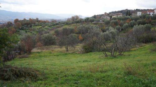 Terreno a Dipignano - Foto 2