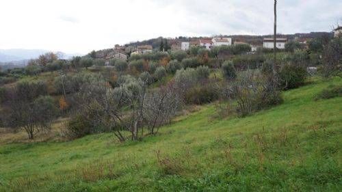 Terreno a Dipignano - Foto 3