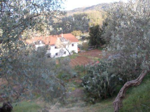 Terreno a Dipignano - Foto 3