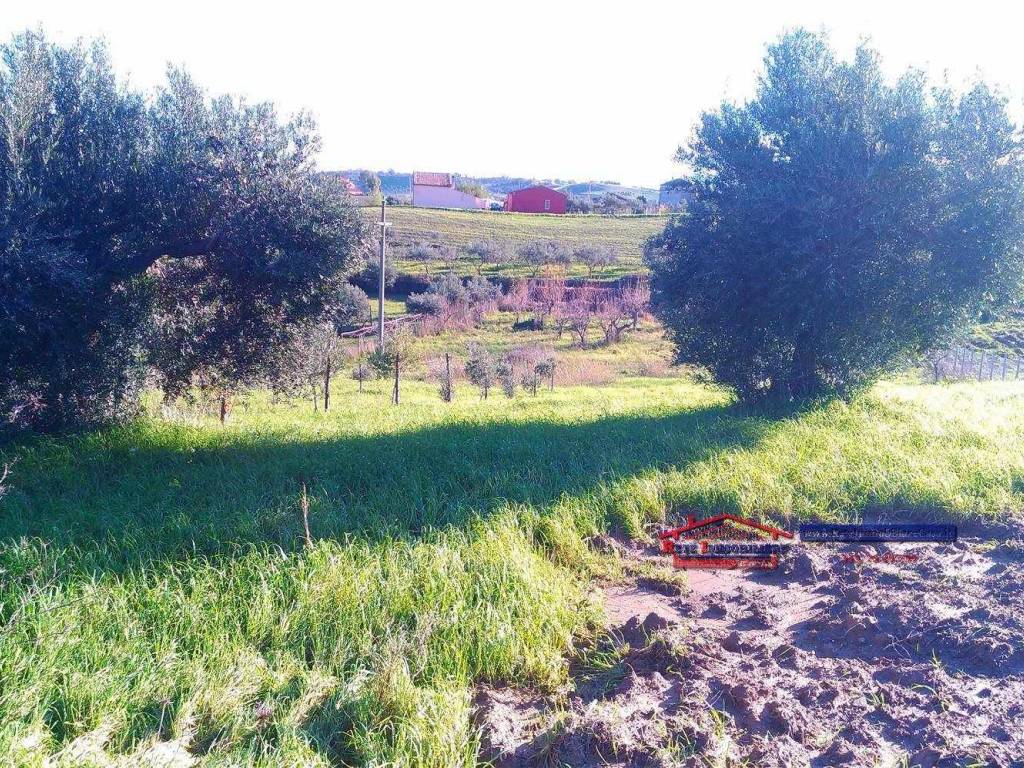 Rustico / casale a San marco argentano - Foto 3