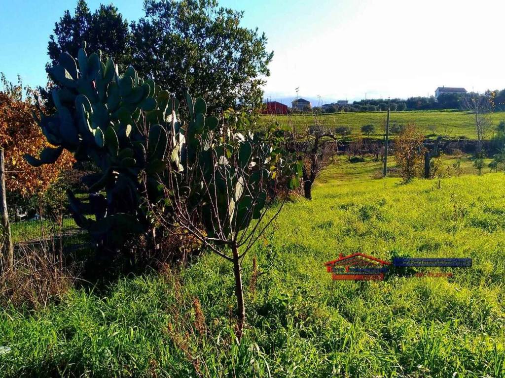 Rustico / casale a San marco argentano - Foto 4