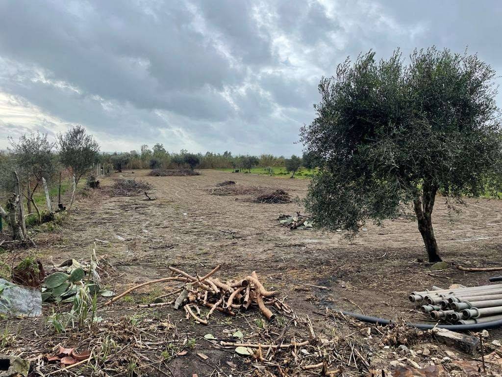 Terreno a Mondragone in Via Incaldana Belvedere - Foto 3
