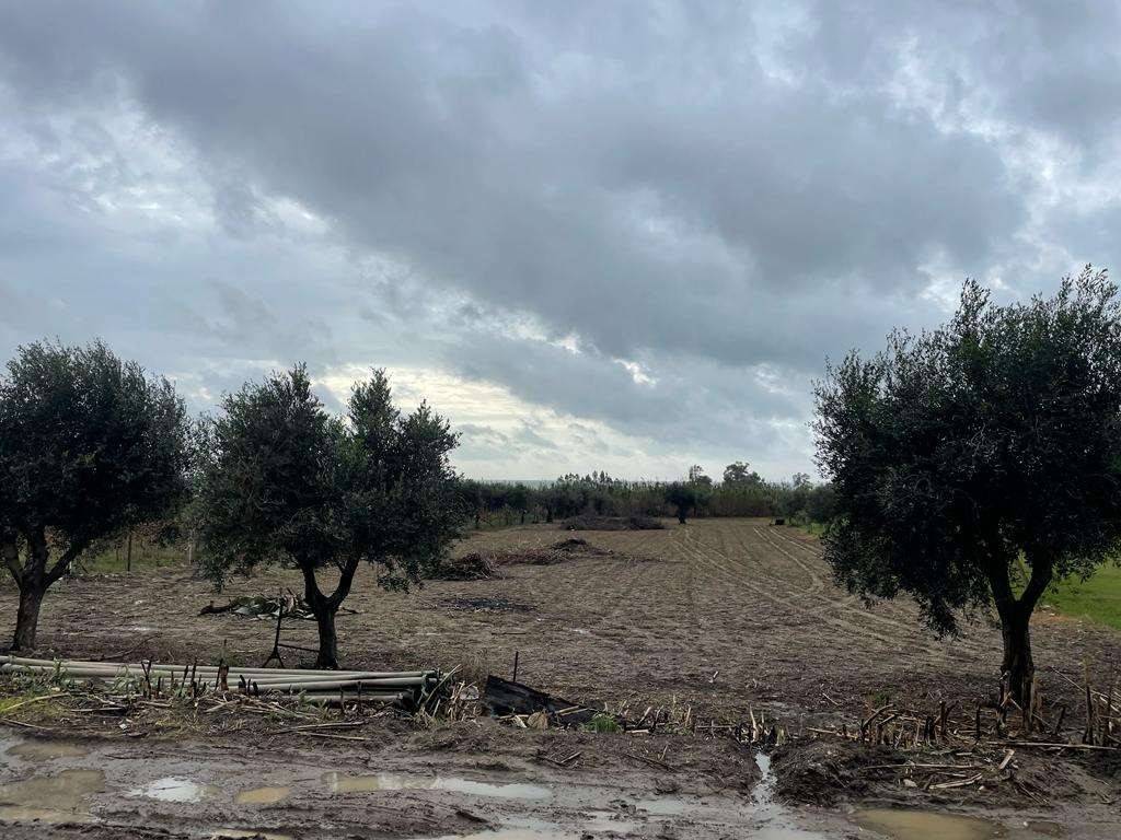 Terreno a Mondragone in Via Incaldana Belvedere - Foto 4