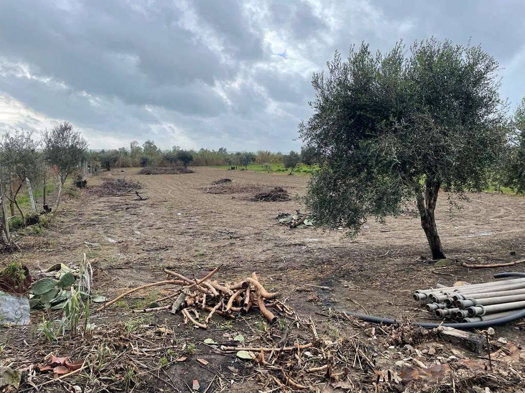 Terreno a Mondragone in Via Incaldana Belvedere - Foto 5