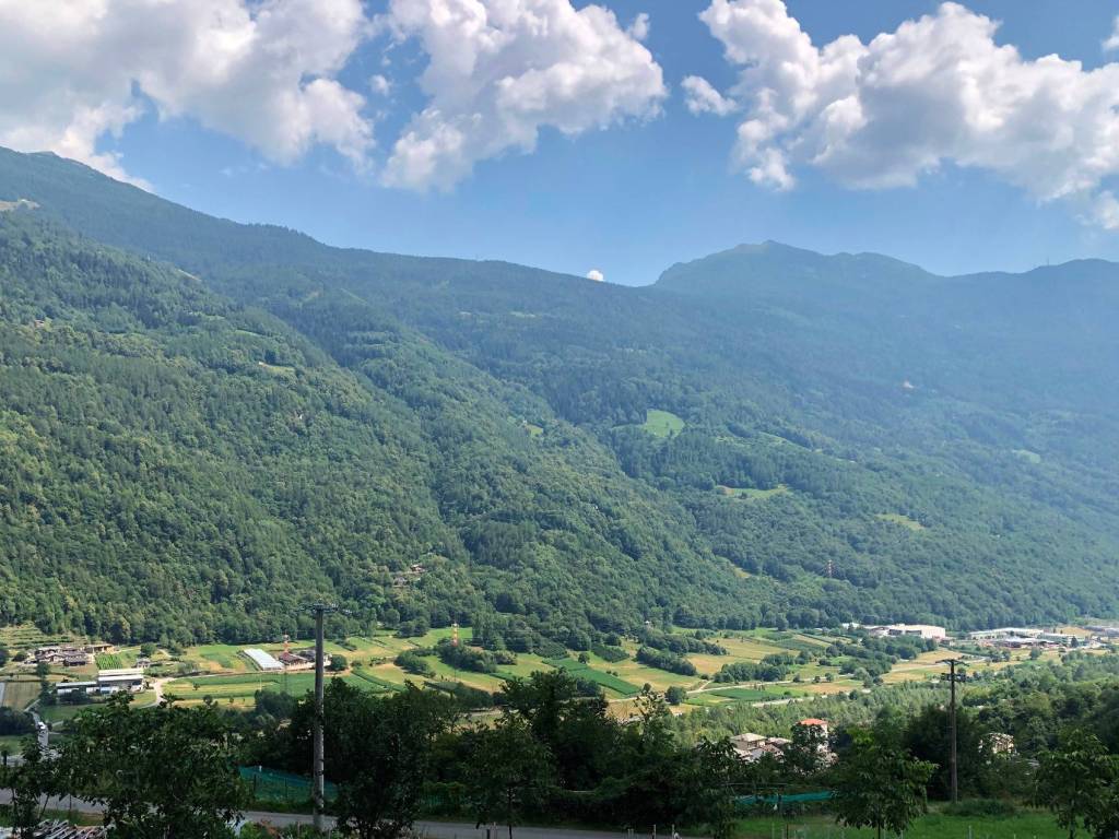 Terreno a Grosotto - Foto 2